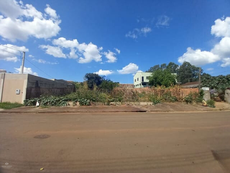 Rua Carlos de Carvalho - Ponta Grossa/PR