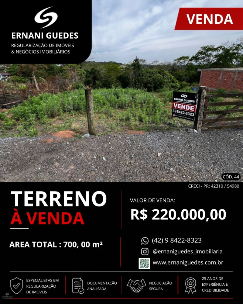 Avenida Vedolino Neves - Teixeira Soares /PR