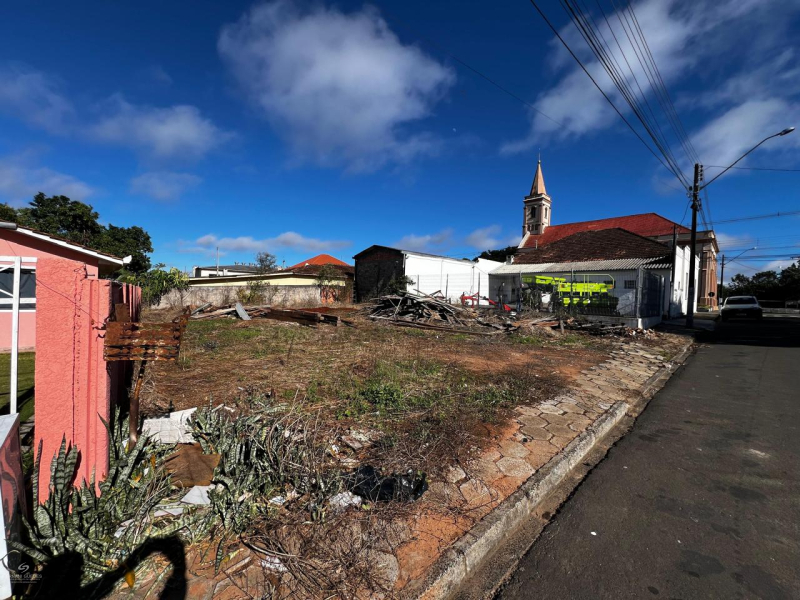 Rua Francisco Ribeiro Batista - Teixeira Soares /PR