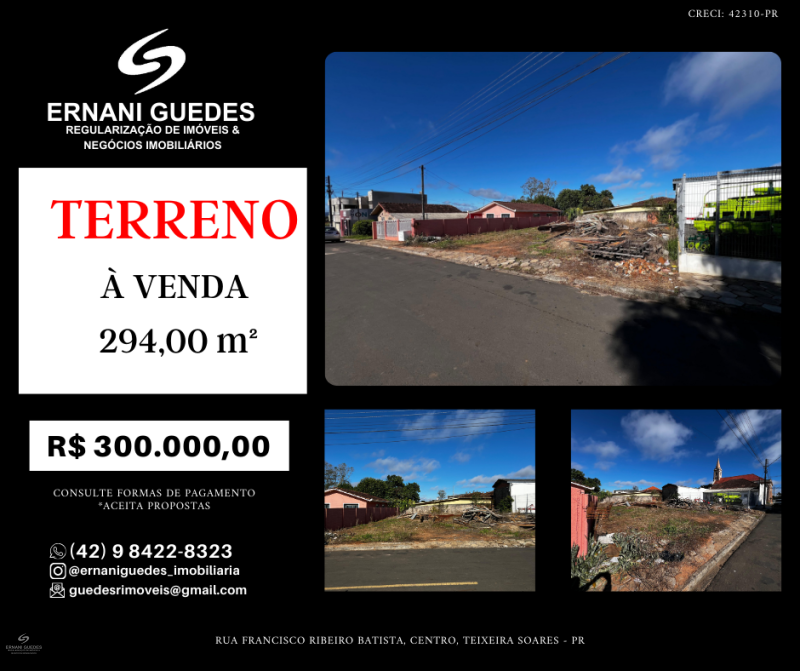 Rua Francisco Ribeiro Batista - Teixeira Soares /PR