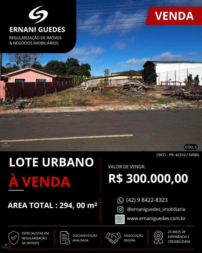 Rua Francisco Ribeiro Batista - Teixeira Soares /PR