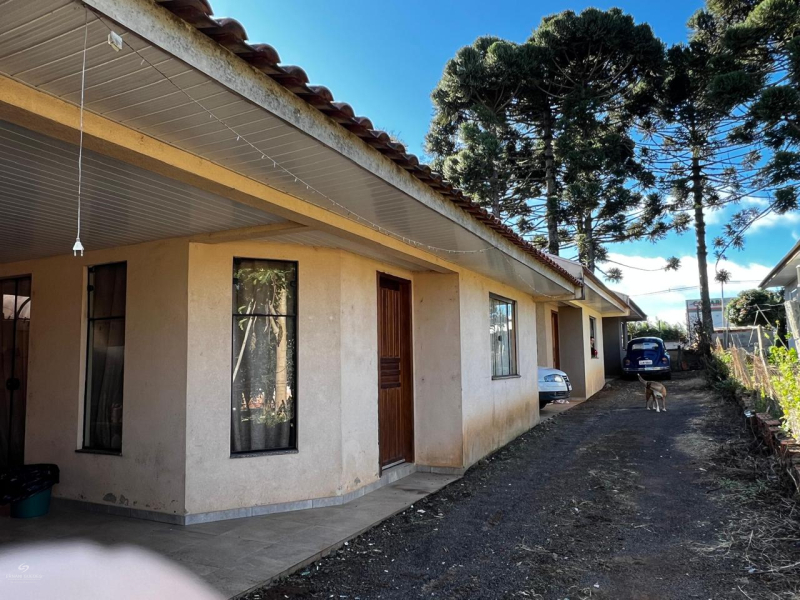 Rua Índios do Brasil  - Teixeira Soares /PR