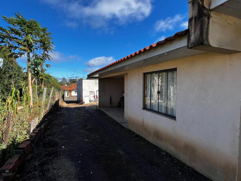 Rua Índios do Brasil  - Teixeira Soares /PR