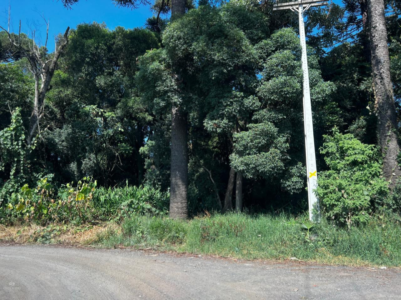 Teixeira Soares /PR
