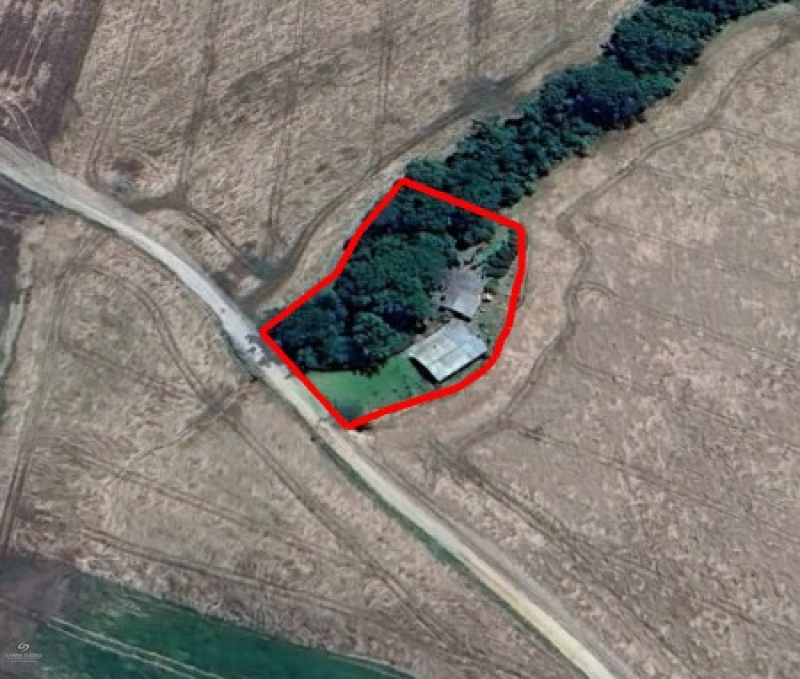 Faxinal dos Pintos, Fernandes Pinheiro-PR - Fernandes Pinheiro /PR