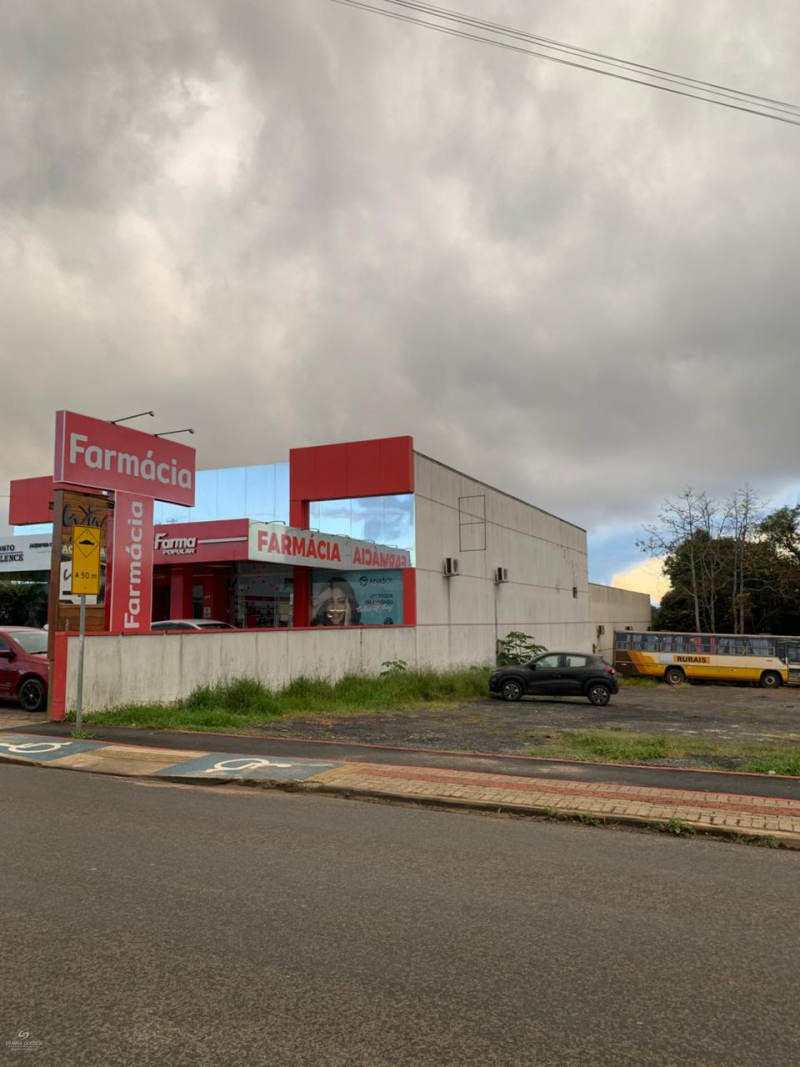 Rua João Ribeiro dos Reis  - Teixeira Soares /PR