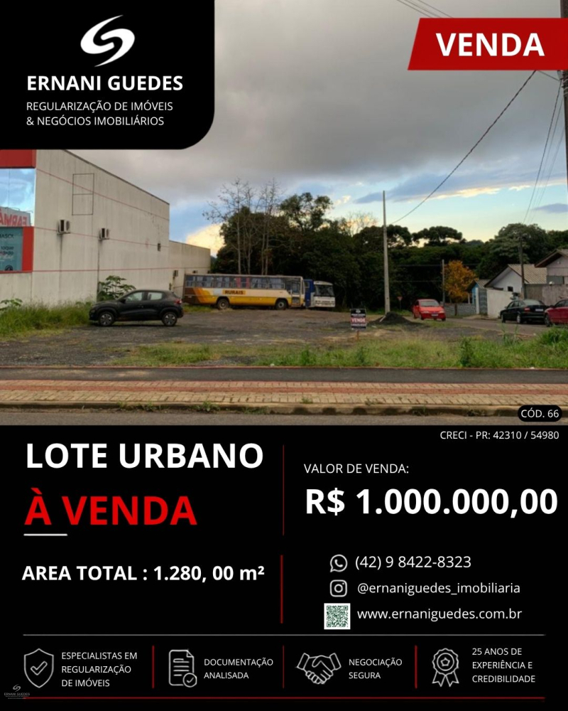 Rua João Ribeiro dos Reis  - Teixeira Soares /PR
