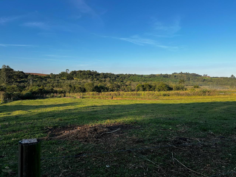 Rio d' Areia de Baixo  - Teixeira Soares /PR