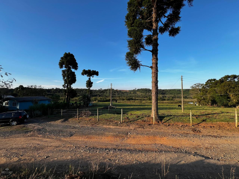 Rio d' Areia de Baixo  - Teixeira Soares /PR