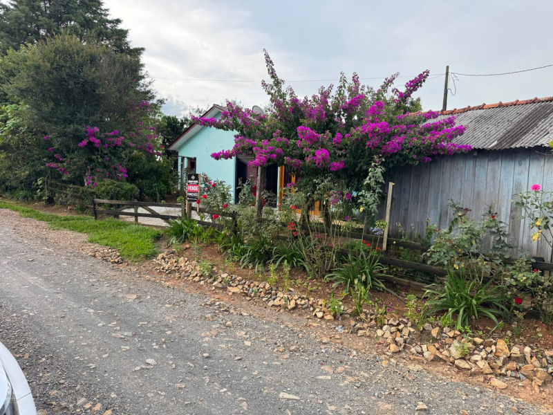 Bituva das Campinas - Teixeira Soares /PR