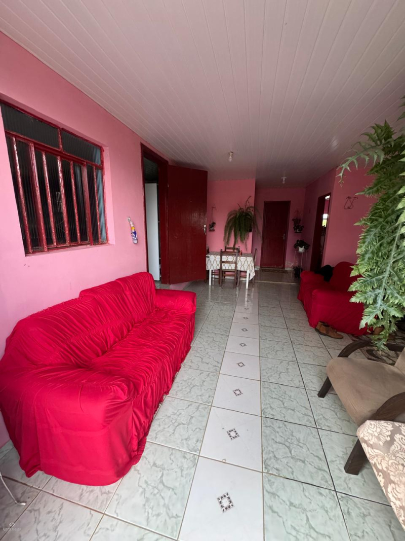 Bituva das Campinas - Teixeira Soares /PR