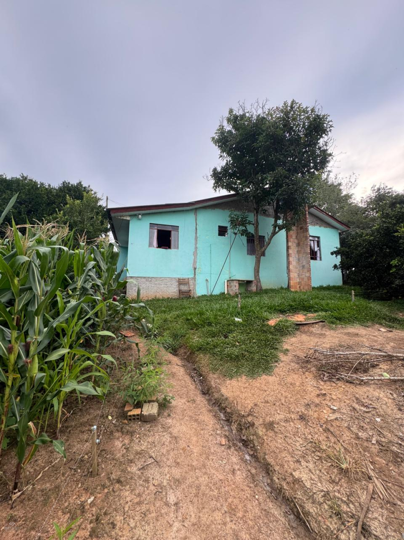 Bituva das Campinas - Teixeira Soares /PR