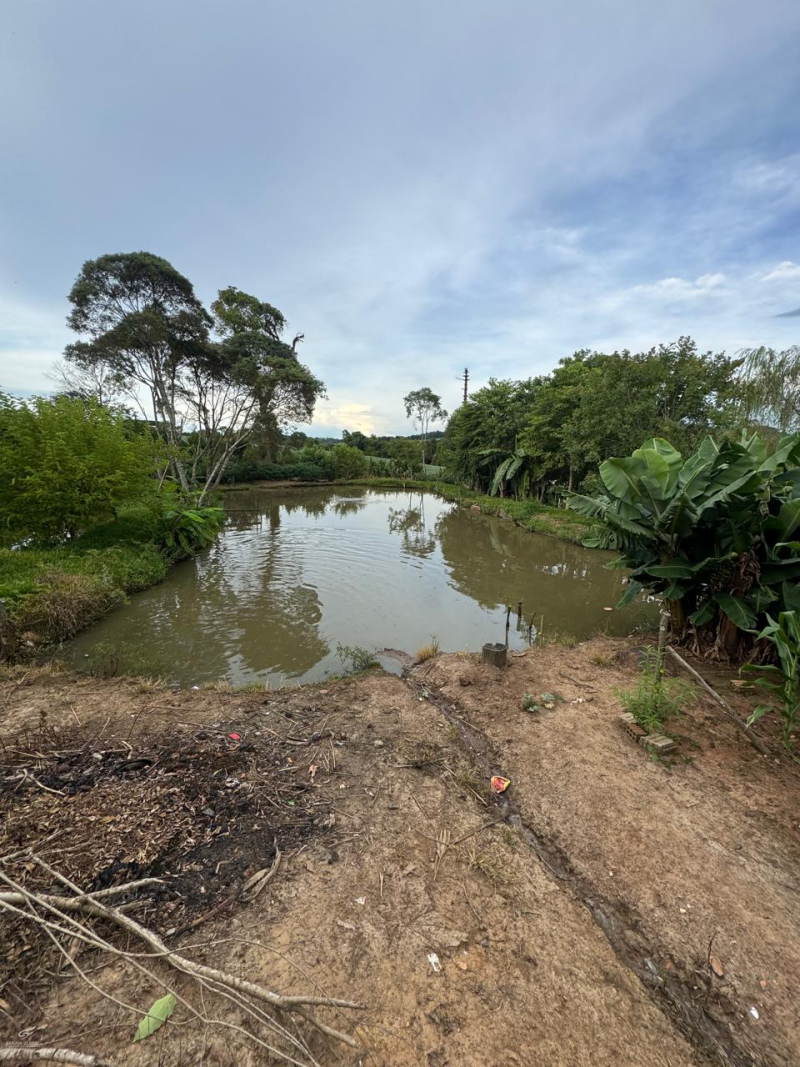 Bituva das Campinas - Teixeira Soares /PR