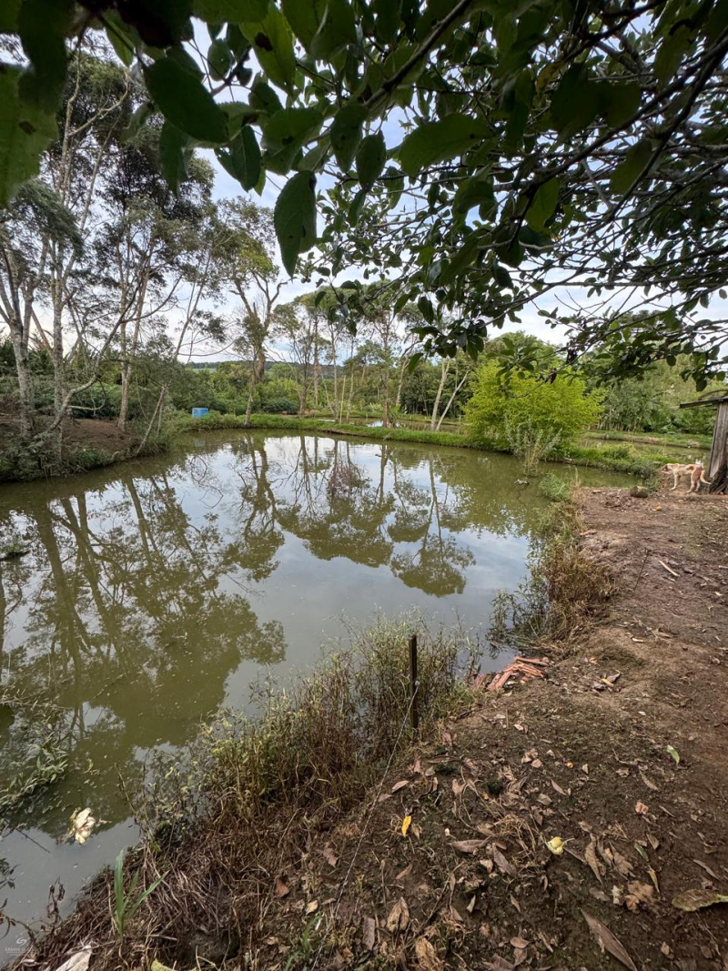 Bituva das Campinas - Teixeira Soares /PR