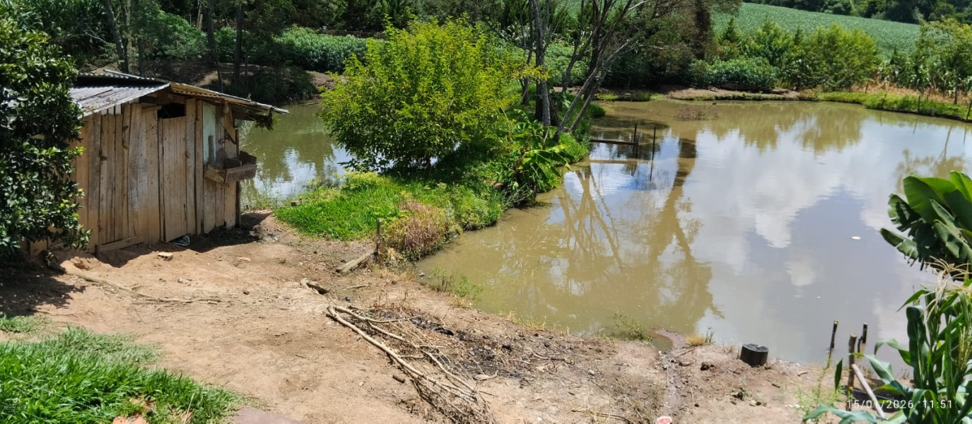 Bituva das Campinas - Teixeira Soares /PR