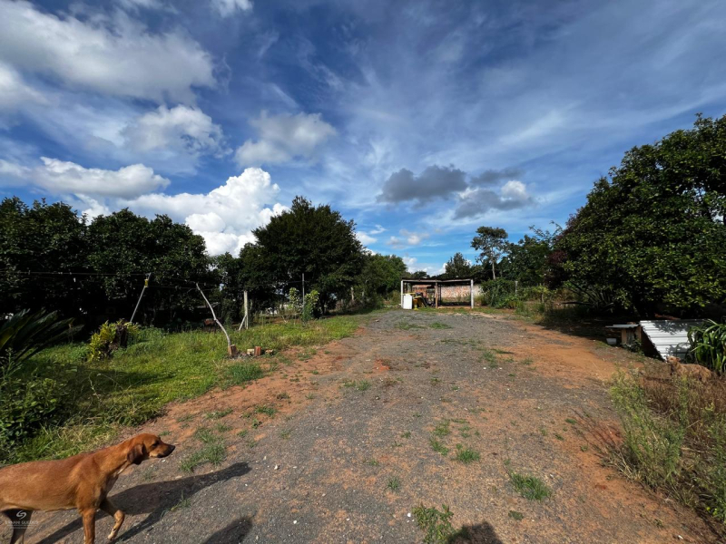Avenida Prefeito José Viana - Teixeira Soares /PR