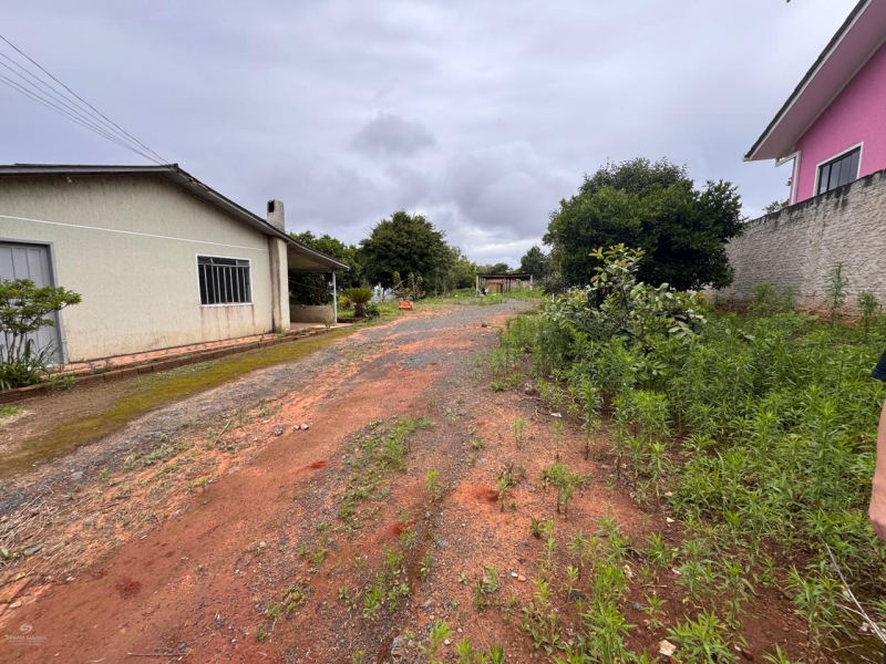 Avenida Prefeito José Viana - Teixeira Soares /PR
