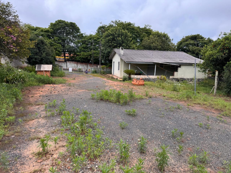 Avenida Prefeito José Viana - Teixeira Soares /PR