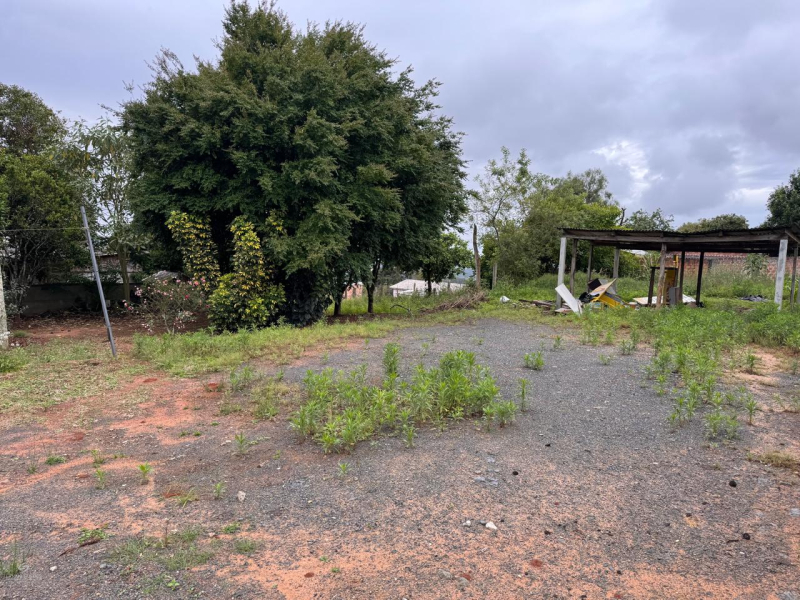 Avenida Prefeito José Viana - Teixeira Soares /PR