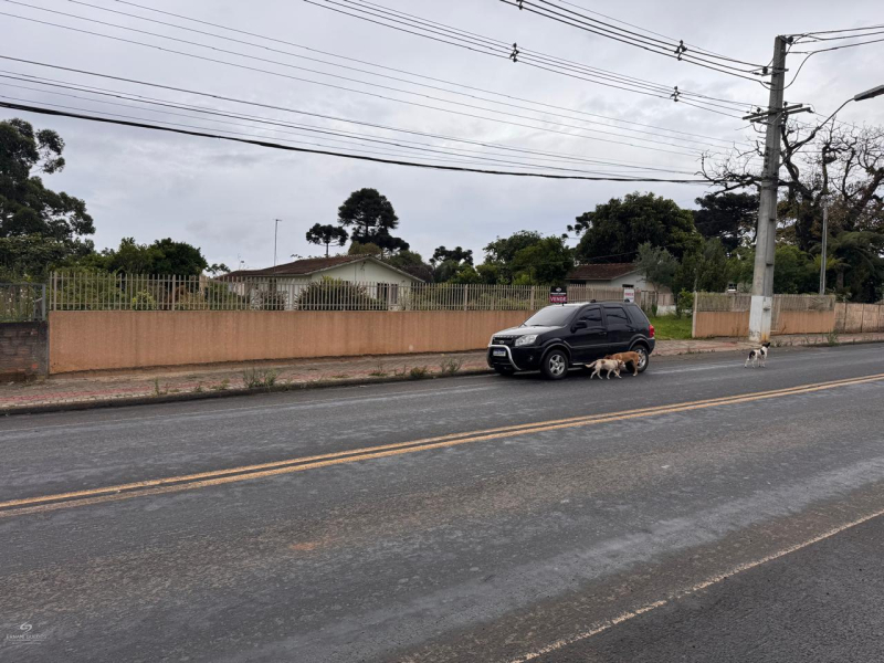 Rua João Negrão Junior - Teixeira Soares /PR