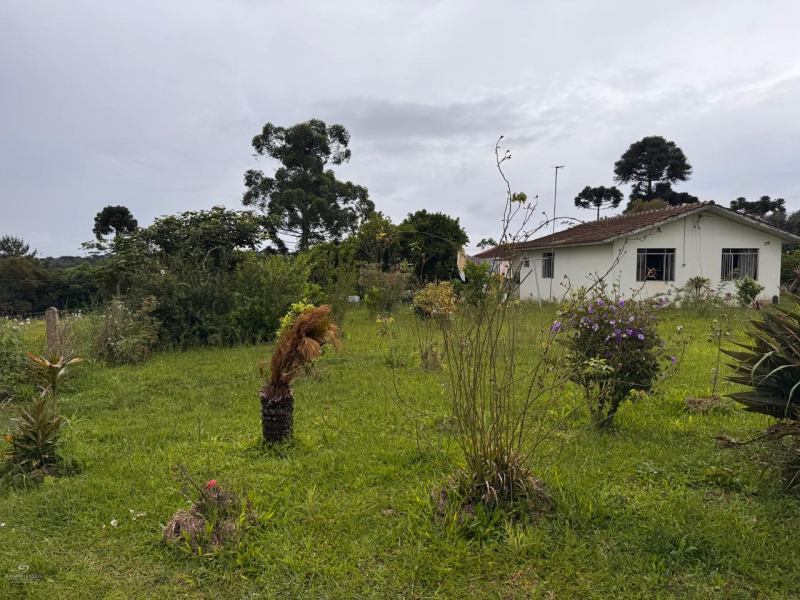 Rua João Negrão Junior - Teixeira Soares /PR