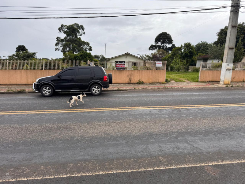 Rua João Negrão Junior - Teixeira Soares /PR