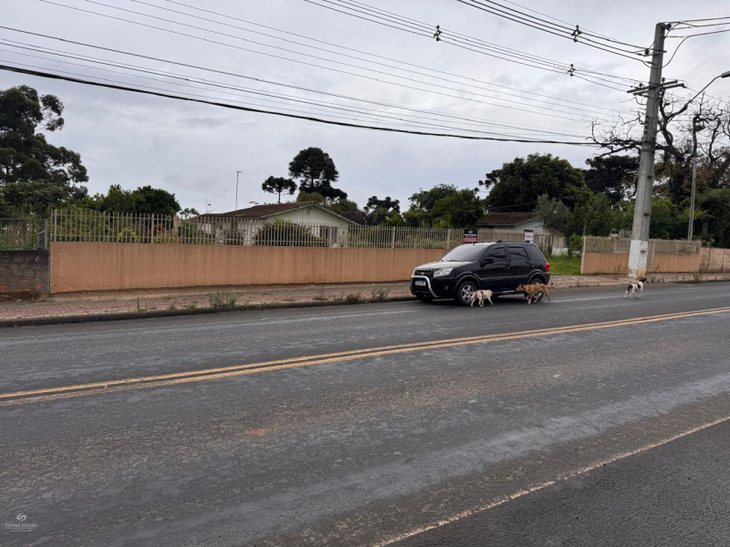 Rua João Negrão Junior - Teixeira Soares /PR