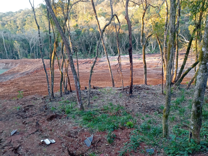 Mangueirinha - Teixeira Soares /PR