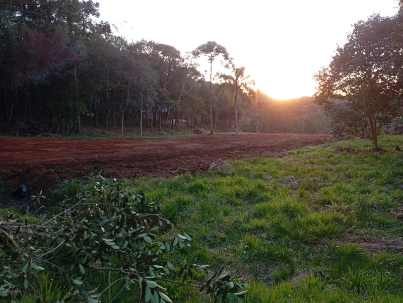 Mangueirinha - Teixeira Soares /PR